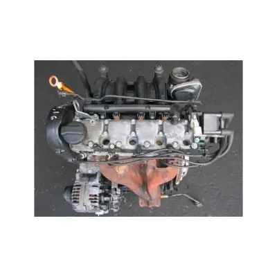 VW Polo 1.6L BAH motor