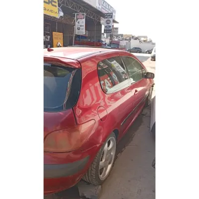 Peugeot 307 2002 hatchback sağ yan duvar